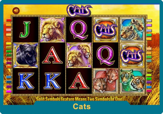 slot cats รีวิวเกมสล็อตแมวป่า